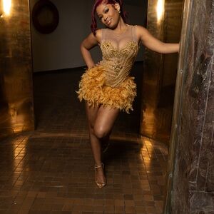 Gold Feathered Dress